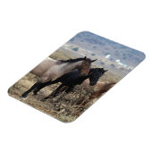 Wild Mustang Horses 5 Magneet (Linkerzijde)