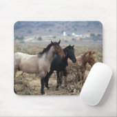 Wild Mustang Horses 5 Muismat (Met muis)