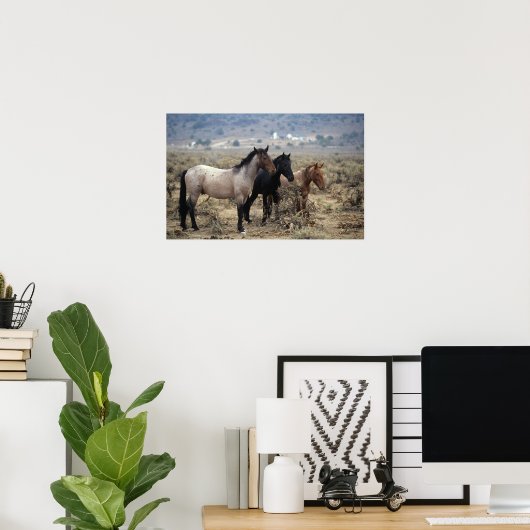 Wild Mustang Horses 5 Poster (Thuiskantoor)
