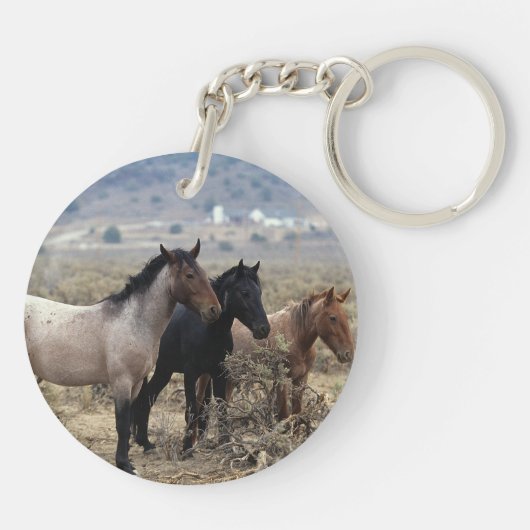 Wild Mustang Horses 5 Sleutelhanger (Achterkant)