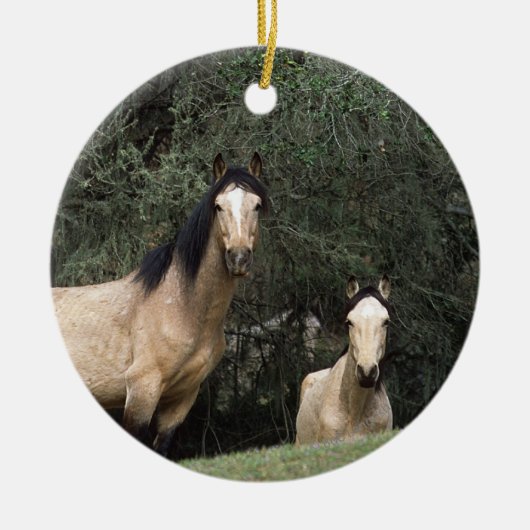 Wild Mustang Horses 6 Keramisch Ornament (Voorkant)
