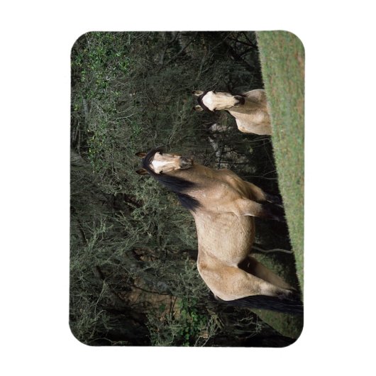 Wild Mustang Horses 6 Magneet (Verticaal)