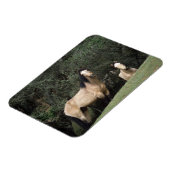 Wild Mustang Horses 6 Magneet (Linkerzijde)