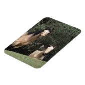 Wild Mustang Horses 6 Magneet (Linkerzijde)