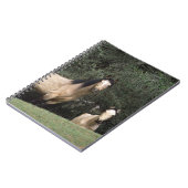 Wild Mustang Horses 6 Notitieboek (Linkerzijde)