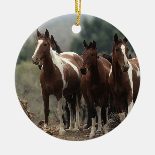 Wild Mustang Horses 7 Keramisch Ornament (Voorkant)