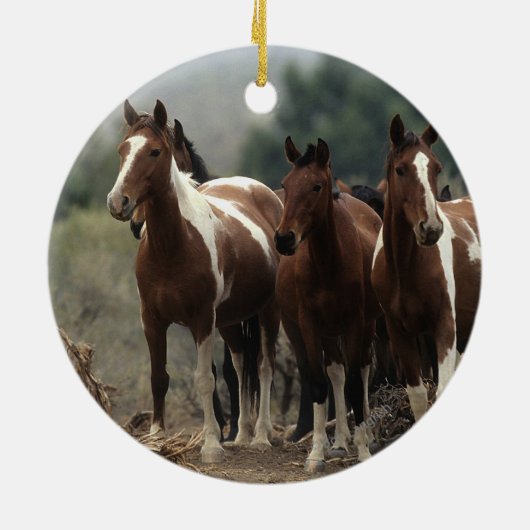 Wild Mustang Horses 7 Keramisch Ornament (Achterkant)