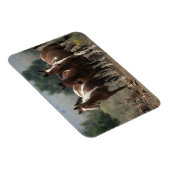 Wild Mustang Horses 7 Magneet (Rechterzijde)