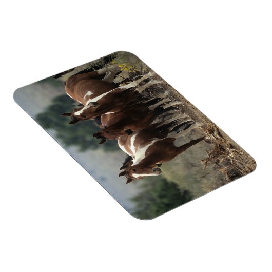 Wild Mustang Horses 7 Magneet (Rechterzijde)