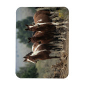Wild Mustang Horses 7 Magneet (Verticaal)