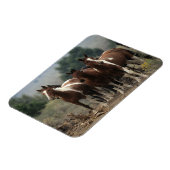 Wild Mustang Horses 7 Magneet (Linkerzijde)