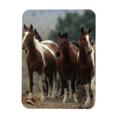 Wild Mustang Horses 7 Magneet (Verticaal)
