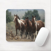 Wild Mustang Horses 7 Muismat (Met muis)