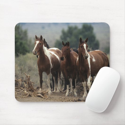 Wild Mustang Horses 7 Muismat (Met muis)