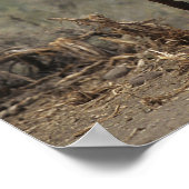 Wild Mustang Horses 7 Poster (Hoek)