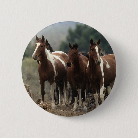Wild Mustang Horses 7 Ronde Button 5,7 Cm (Voorkant)