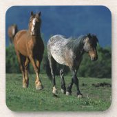 Wild Mustang Horses Bier Onderzetter (Voorkant)