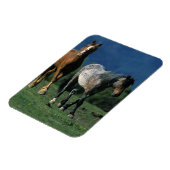 Wild Mustang Horses Magneet (Linkerzijde)