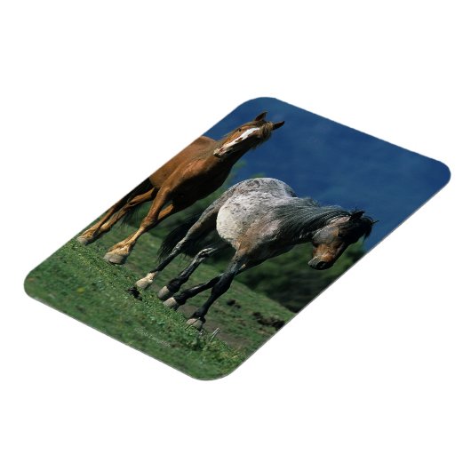 Wild Mustang Horses Magneet (Linkerzijde)