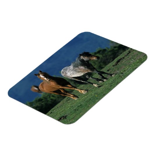 Wild Mustang Horses Magneet (Linkerzijde)