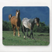 Wild Mustang Horses Muismat (Voorkant)