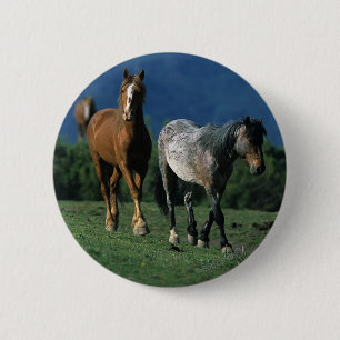 Wild Mustang Horses Ronde Button 5,7 Cm