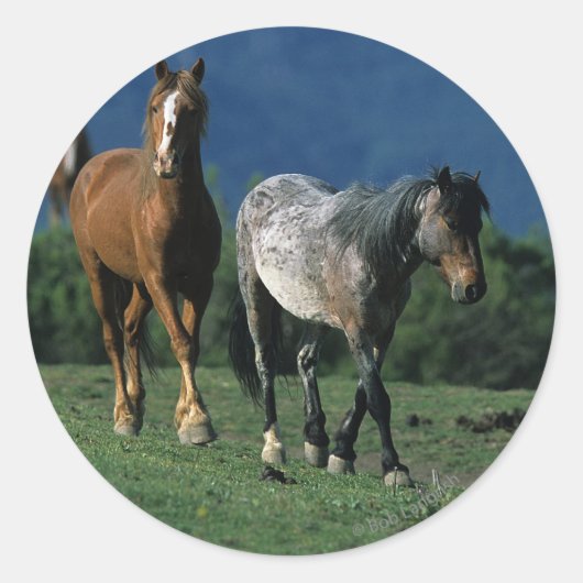 Wild Mustang Horses Ronde Sticker (Voorkant)