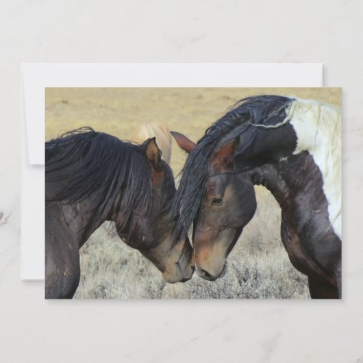 Wild Mustang Horses Wedding Invitations Kaart (Achterkant)