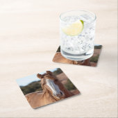 Wild Mustang Kartonnen Onderzetters (Insitu)