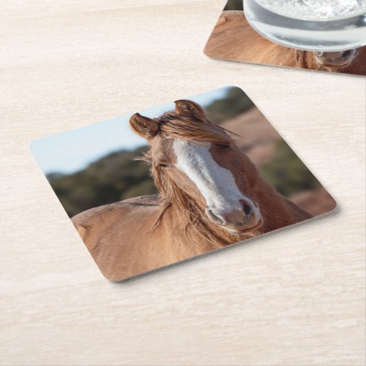 Wild Mustang Kartonnen Onderzetters (Schuin)