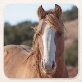 Wild Mustang Kartonnen Onderzetters (Voorkant)