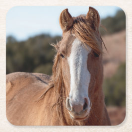 Wild Mustang Kartonnen Onderzetters