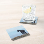 Wild Mustang Kartonnen Onderzetters (Insitu)