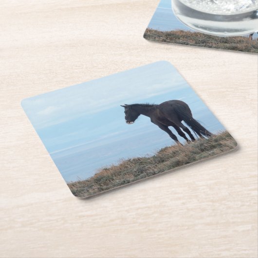 Wild Mustang Kartonnen Onderzetters (Schuin)