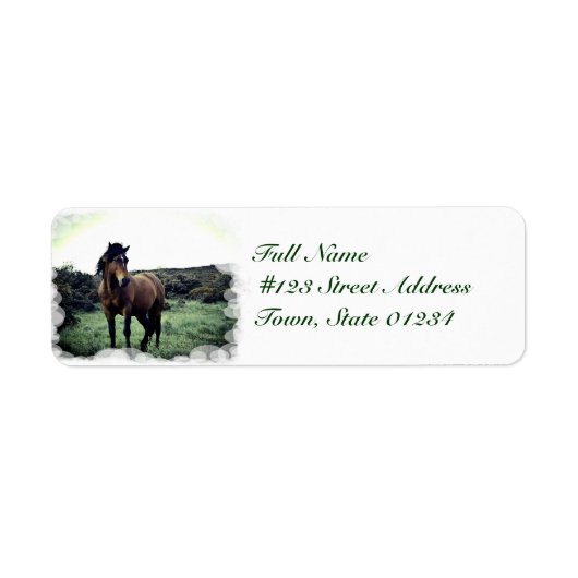 Wild Mustang Mailing Labels (Voorkant)