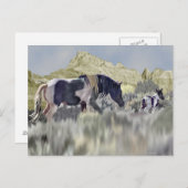 Wild Mustang Mare en Veulen Briefkaart (Voorkant / Achterkant)