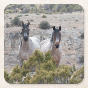 Wild Mustang Mare en Wild Horse Hengst Kartonnen Onderzetters