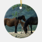 Wild Mustang Mare & Foal Keramisch Ornament (Voorkant)