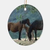 Wild Mustang Mare & Foal Keramisch Ornament (Links)