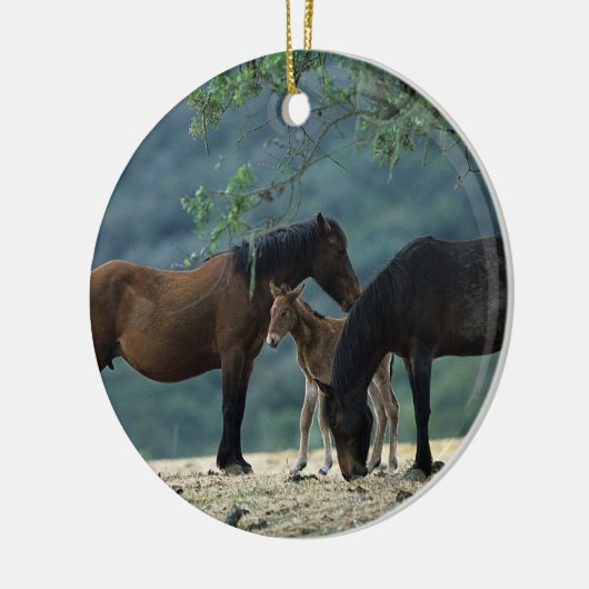 Wild Mustang Mare & Foal Keramisch Ornament (Links)
