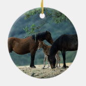 Wild Mustang Mare & Foal Keramisch Ornament (Achterkant)