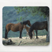 Wild Mustang Mare & Foal Muismat (Voorkant)