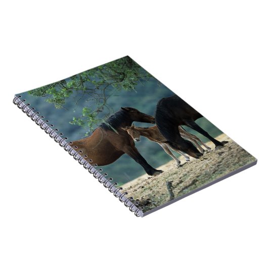 Wild Mustang Mare & Foal Notitieboek (Rechterzijde)