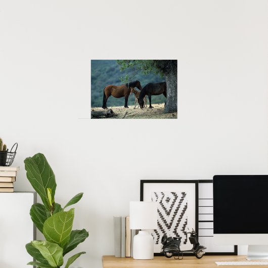 Wild Mustang Mare & Foal Poster (Thuiskantoor)