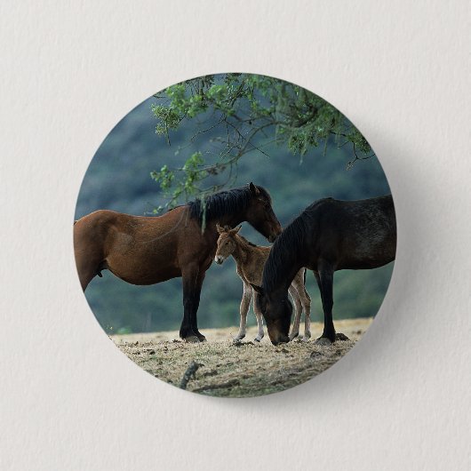 Wild Mustang Mare & Foal Ronde Button 5,7 Cm (Voorkant)