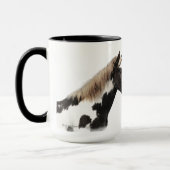 Wild Mustang Mok met Pinyon & Sunshine (Links)