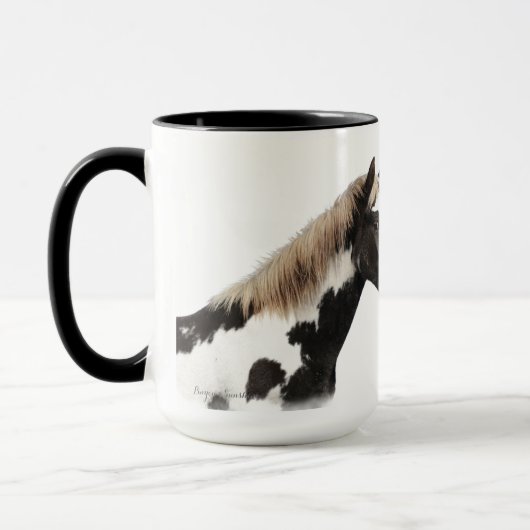 Wild Mustang Mok met Pinyon & Sunshine (Links)