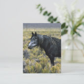 Wild Mustang Paard in de woestijn Briefkaart (Staand voorkant)