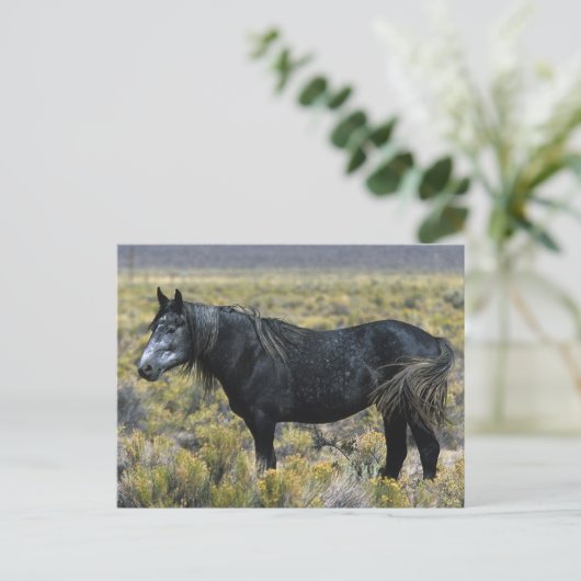 Wild Mustang Paard in de woestijn Briefkaart (Staand voorkant)