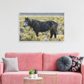 Wild Mustang Paard in de woestijn Canvas Afdruk (Insitu (Woonkamer))